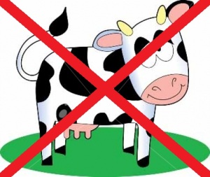No Vacas Allowed deporbiotica.com